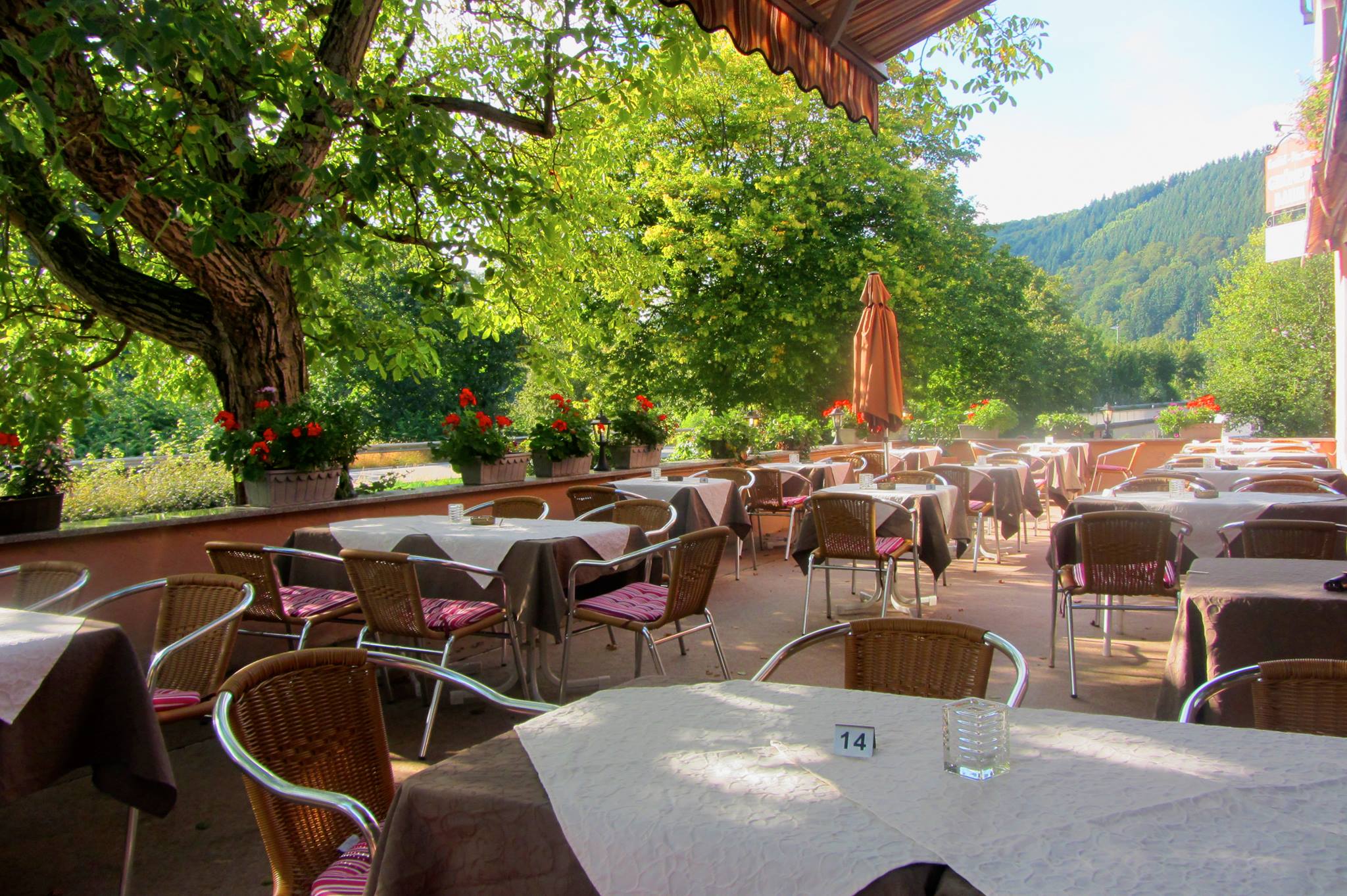 Grüner Baum Neckargerach Restaurant & Speisekarte