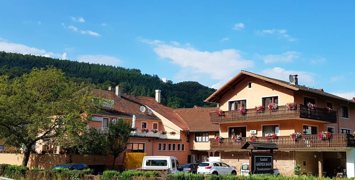 Grüner Baum Neckargerach Restaurant & Speisekarte